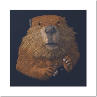 Beaver Posters and Art